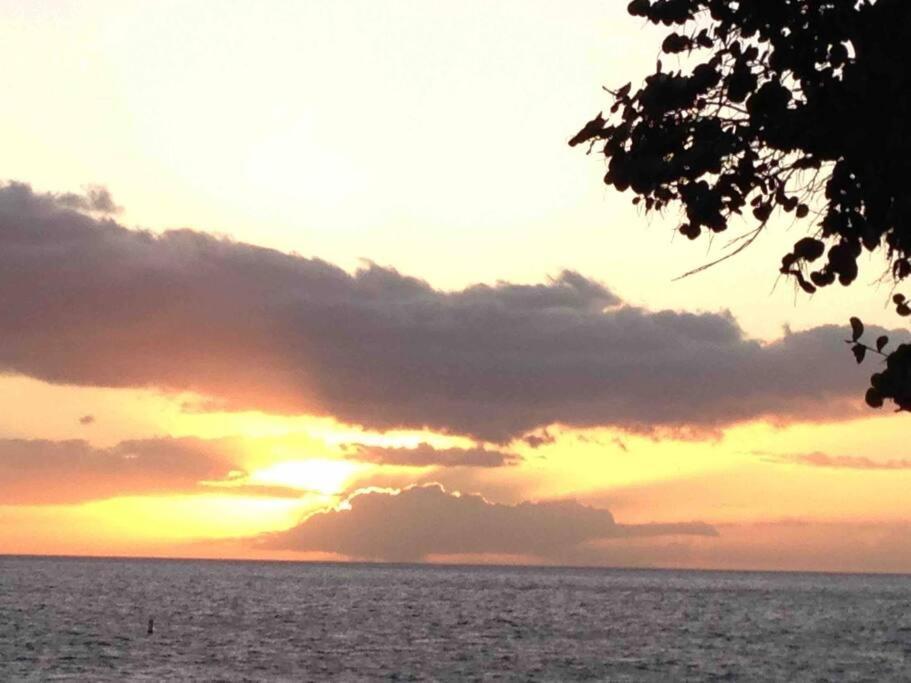 Unrivaled S Kihei Maui Location! Walk To It All! Dış mekan fotoğraf